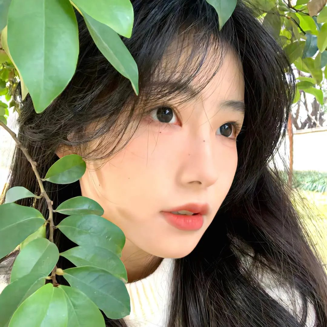 战斗妖精雪风