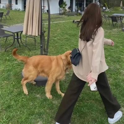 甄嬛爱不停